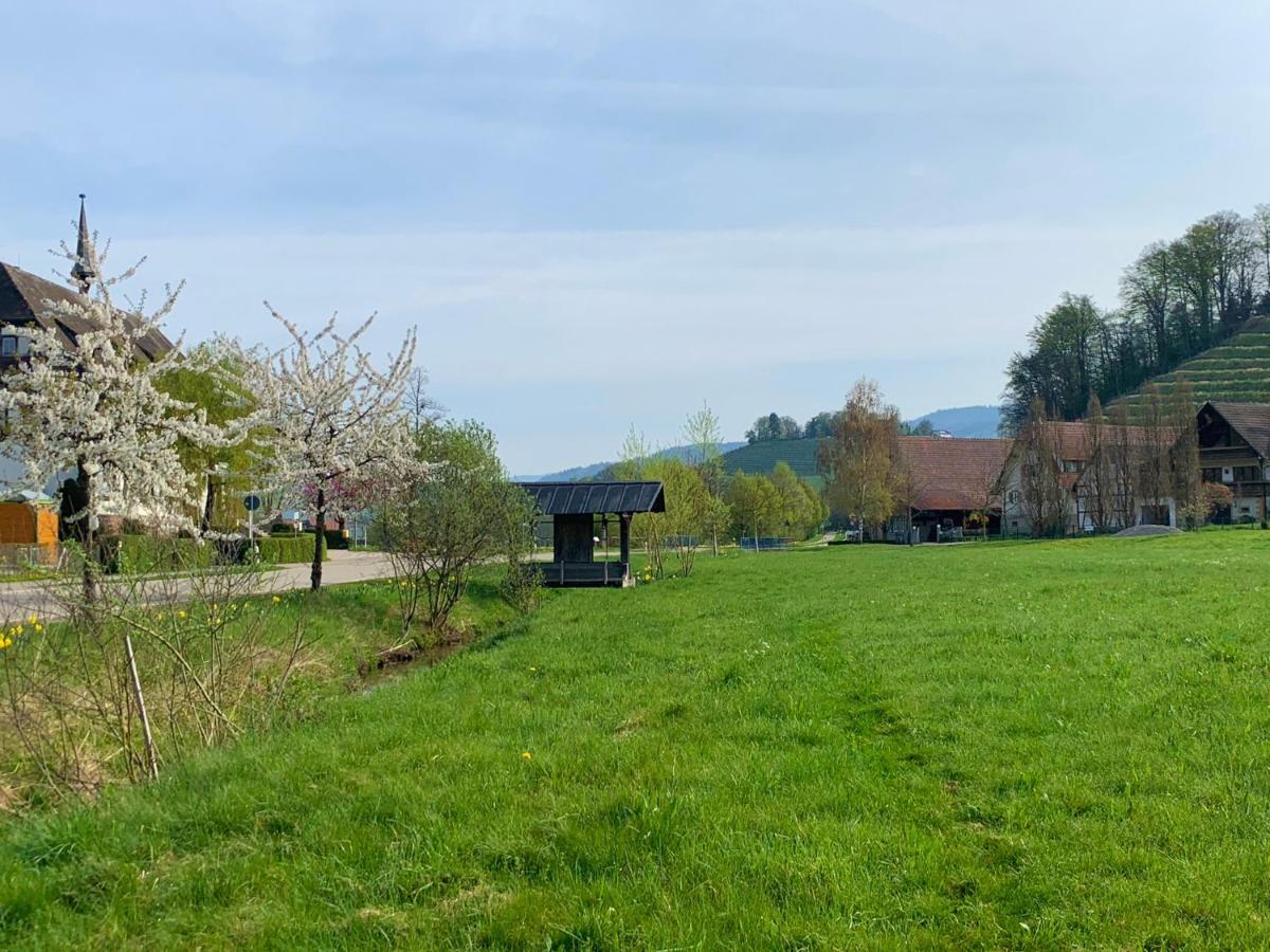 Winzerhof Maennle Oberkirch (Baden) Exterior foto