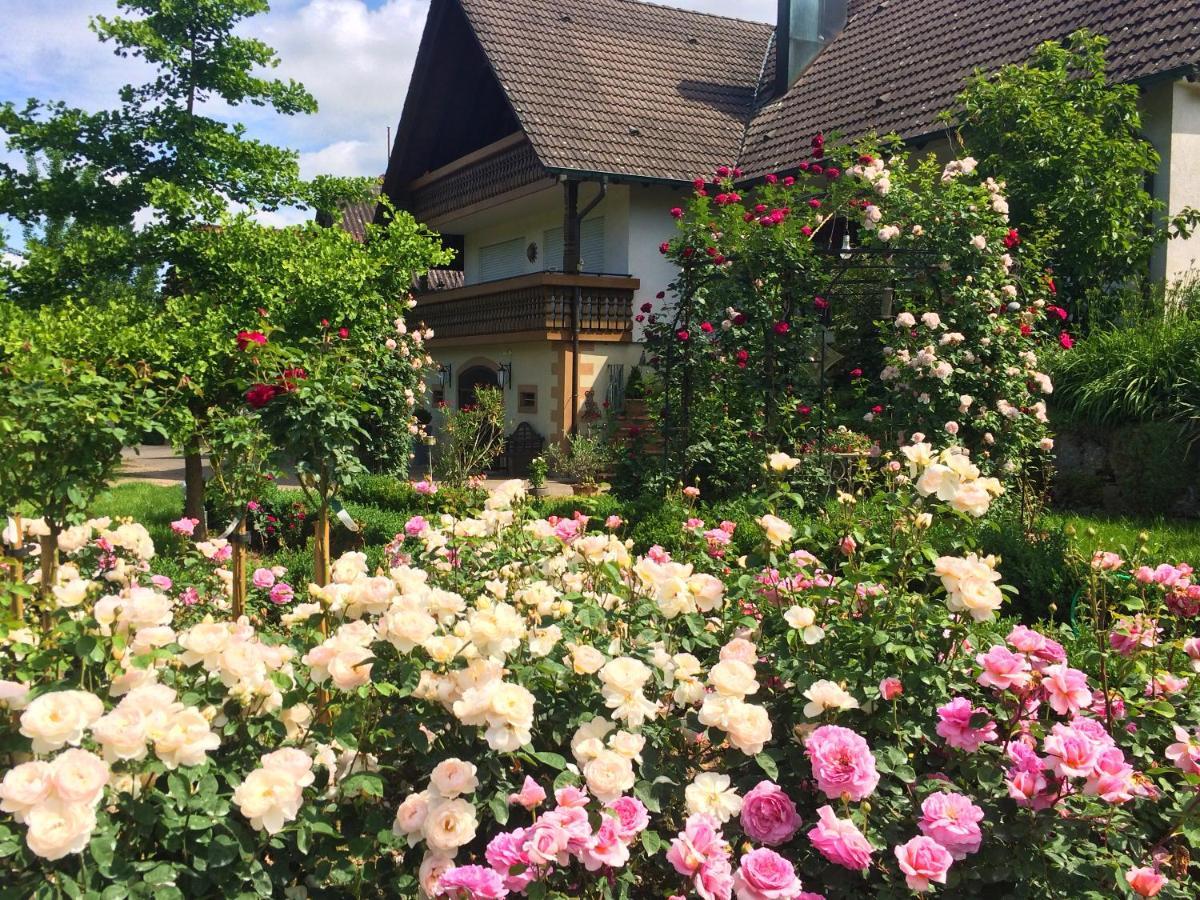 Winzerhof Maennle Oberkirch (Baden) Exterior foto