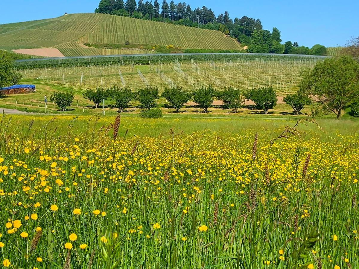 Winzerhof Maennle Oberkirch (Baden) Exterior foto