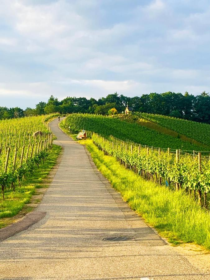 Winzerhof Maennle Oberkirch (Baden) Exterior foto
