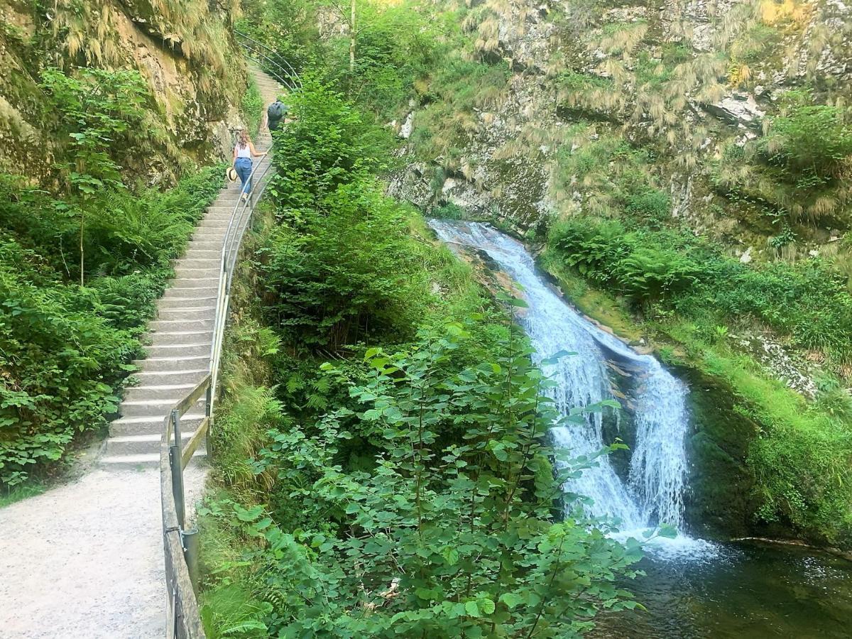 Winzerhof Maennle Oberkirch (Baden) Exterior foto