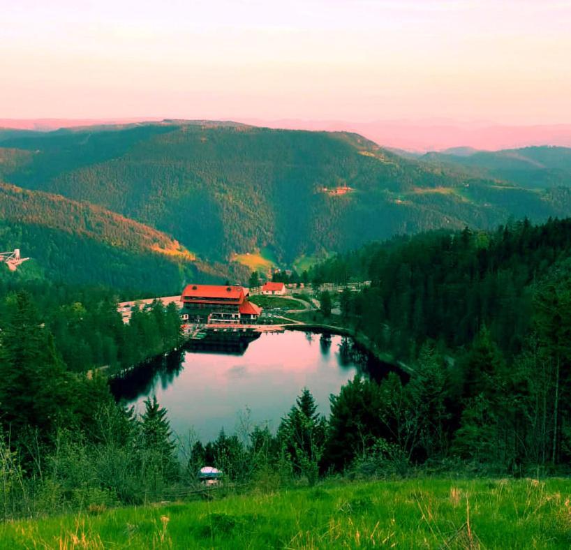 Winzerhof Maennle Oberkirch (Baden) Exterior foto